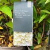Hydrangea Paniculata 'Little Blossom' 5Ltr Pot 2 Hydrangea Paniculata 'Little Blossom' 5Ltr Pot -The Old Railway Line 5019945247536