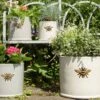 Woodlodge 29cm Wisteria Bee Cylinder Planter 2 Woodlodge 29cm Wisteria Bee Cylinder Planter -The Old Railway Line 5021346427110 fa3cfc22 6889 45d8 b39f c047370bf042