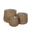 Woodlodge Sencha Wicker Baskets 2 Woodlodge Sencha Wicker Baskets -The Old Railway Line 5021346444162