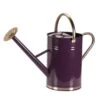 Smart Garden 9 Litre Violet Metal Watering Can 2 Smart Garden 9 Litre Violet Metal Watering Can -The Old Railway Line 5050642069991 bb1d1b4b 5c00 4767 bfda a5c5e02a4125