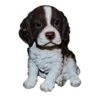 Vivid Arts 16cm Pet Pals Springer Spaniel - PP-SPSP-F 2 Vivid Arts 16cm Pet Pals Springer Spaniel - PP-SPSP-F -The Old Railway Line 5055195027306