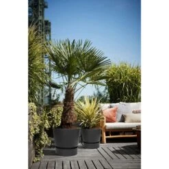 Elho 25cm Living Black Greenville Round Planter -The Old Railway Line 8711904332334 5