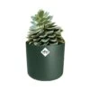 Elho 30cm Leaf Green B.For Soft Round Pot 1 Elho 30cm Leaf Green B.For Soft Round Pot -The Old Railway Line 8711904494582 9b3c5d1b f0ea 4a14 bbbc 6758035a87a6